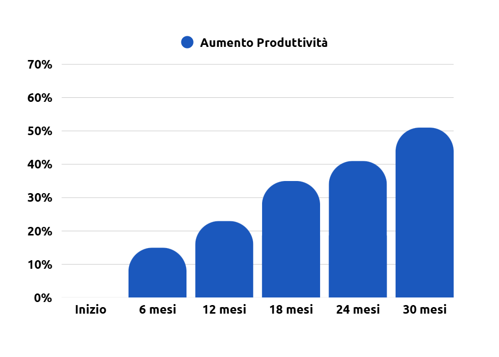 Implementazione software gestionale Verona